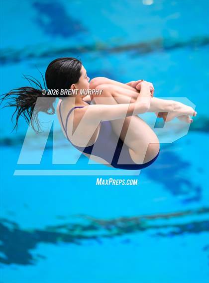 Thumbnail 3 in CHSAA 4A Finals (Diving) photogallery.