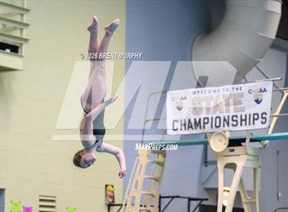 Thumbnail 2 in CHSAA 4A Finals (Diving) photogallery.