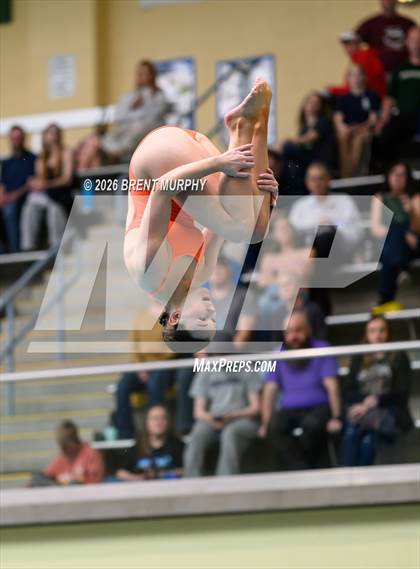 Thumbnail 1 in CHSAA 4A Finals (Diving) photogallery.