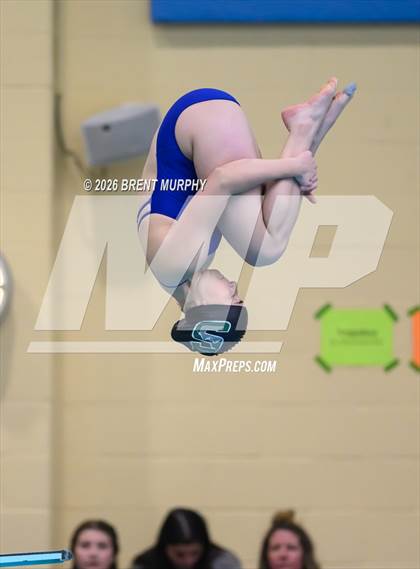 Thumbnail 3 in CHSAA 4A Finals (Diving) photogallery.