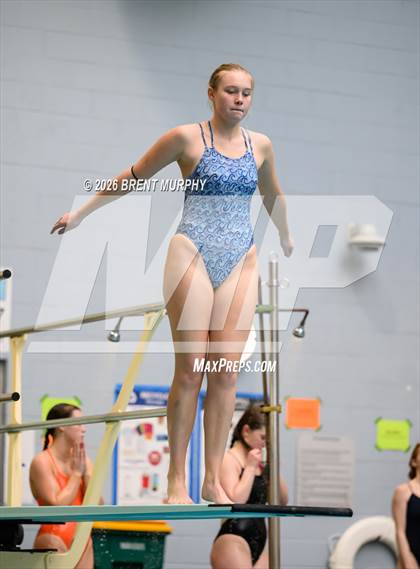 Thumbnail 1 in CHSAA 4A Finals (Diving) photogallery.