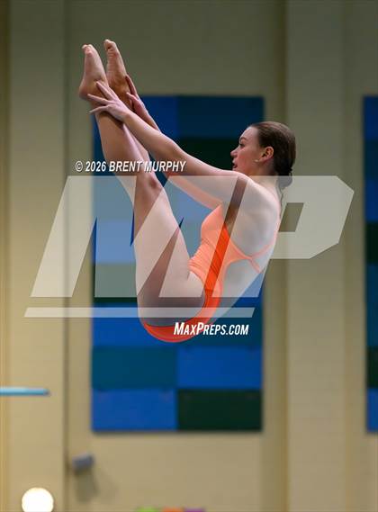 Thumbnail 2 in CHSAA 4A Finals (Diving) photogallery.