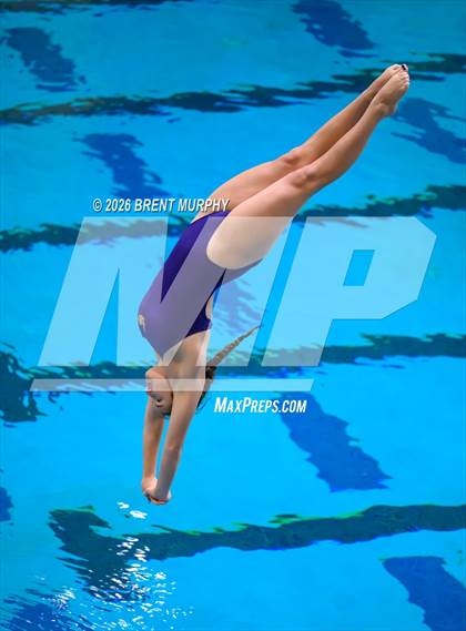 Thumbnail 1 in CHSAA 4A Finals (Diving) photogallery.