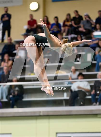 Thumbnail 1 in CHSAA 4A Finals (Diving) photogallery.