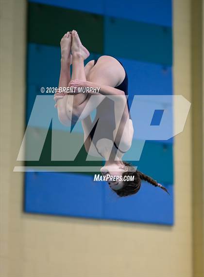 Thumbnail 1 in CHSAA 4A Finals (Diving) photogallery.