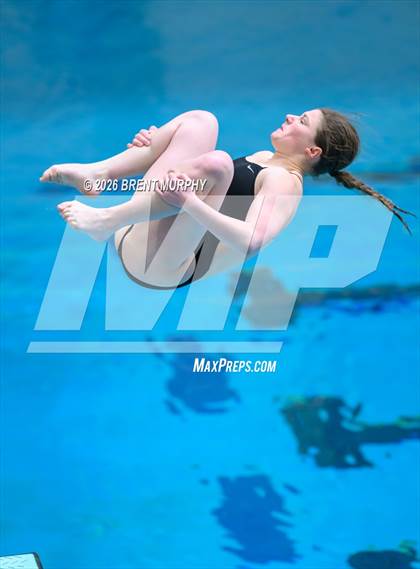 Thumbnail 1 in CHSAA 4A Finals (Diving) photogallery.