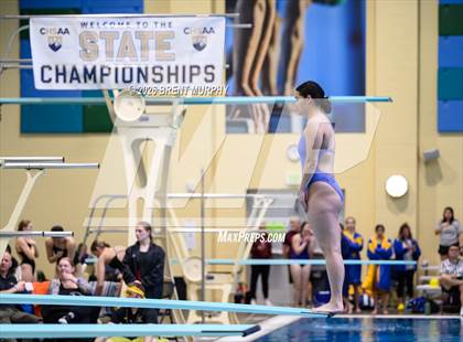 Thumbnail 3 in CHSAA 4A Finals (Diving) photogallery.