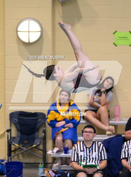 Thumbnail 2 in CHSAA 4A Finals (Diving) photogallery.
