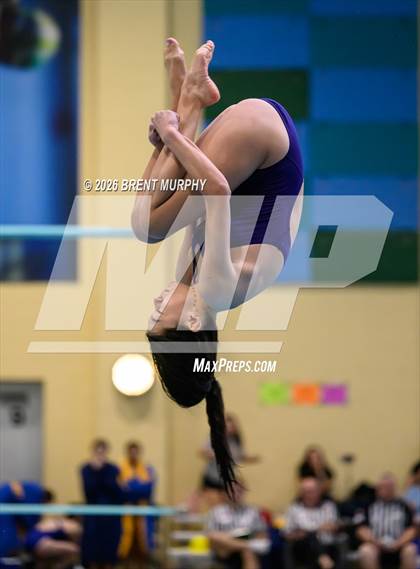 Thumbnail 3 in CHSAA 4A Finals (Diving) photogallery.