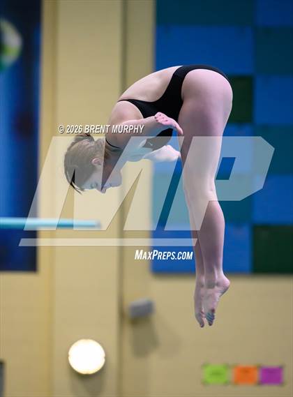 Thumbnail 1 in CHSAA 4A Finals (Diving) photogallery.