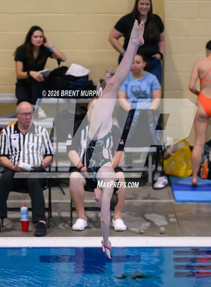 Thumbnail 2 in CHSAA 4A Finals (Diving) photogallery.