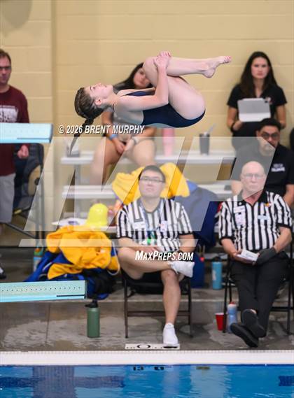 Thumbnail 2 in CHSAA 4A Finals (Diving) photogallery.