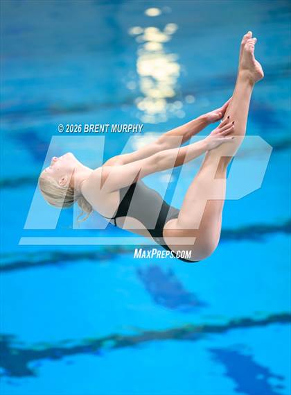 Thumbnail 3 in CHSAA 4A Finals (Diving) photogallery.