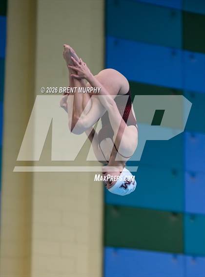 Thumbnail 2 in CHSAA 4A Finals (Diving) photogallery.