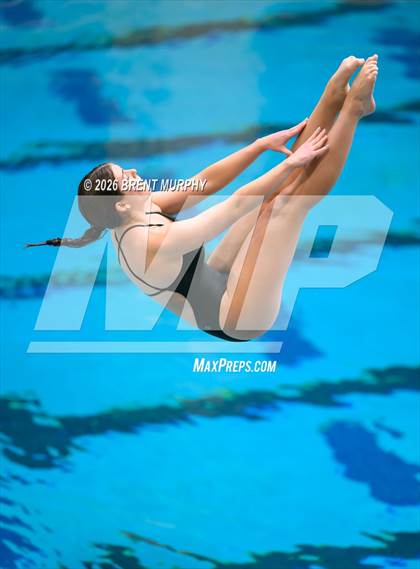 Thumbnail 3 in CHSAA 4A Finals (Diving) photogallery.