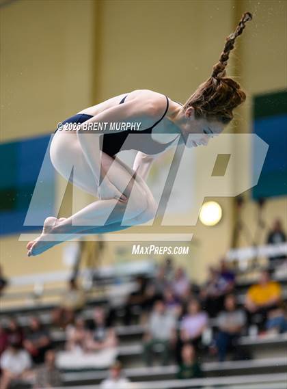 Thumbnail 2 in CHSAA 4A Finals (Diving) photogallery.