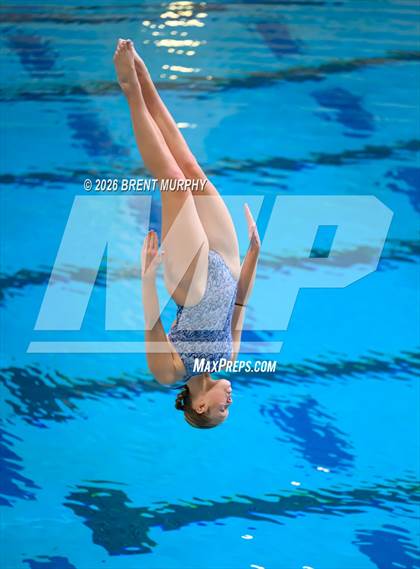Thumbnail 1 in CHSAA 4A Finals (Diving) photogallery.
