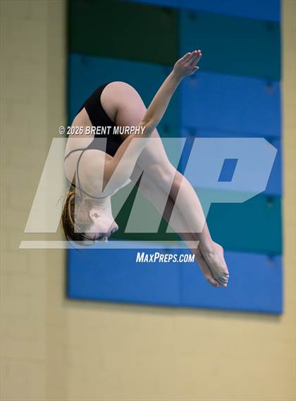 Thumbnail 1 in CHSAA 4A Finals (Diving) photogallery.