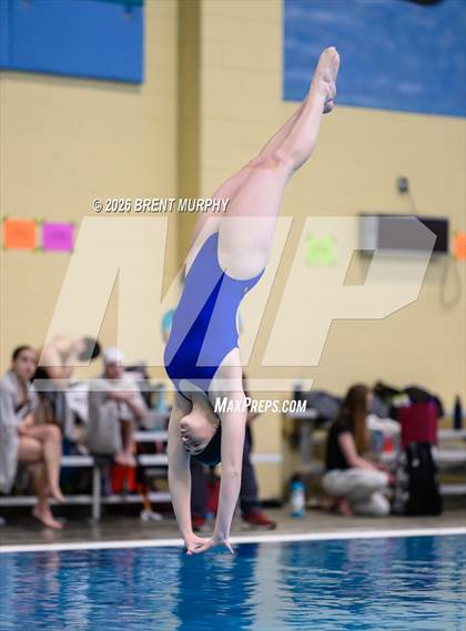 Thumbnail 3 in CHSAA 4A Finals (Diving) photogallery.