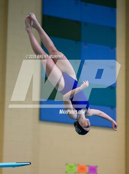 Thumbnail 1 in CHSAA 4A Finals (Diving) photogallery.