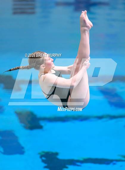 Thumbnail 3 in CHSAA 4A Finals (Diving) photogallery.