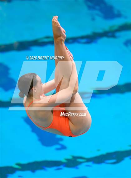 Thumbnail 3 in CHSAA 4A Finals (Diving) photogallery.