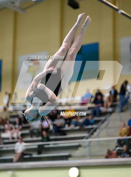 Thumbnail 1 in CHSAA 4A Finals (Diving) photogallery.