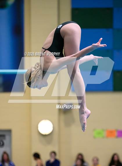 Thumbnail 3 in CHSAA 4A Finals (Diving) photogallery.