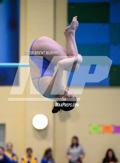 Thumbnail 1 in CHSAA 4A Finals (Diving) photogallery.