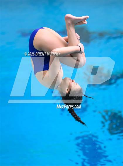 Thumbnail 3 in CHSAA 4A Finals (Diving) photogallery.