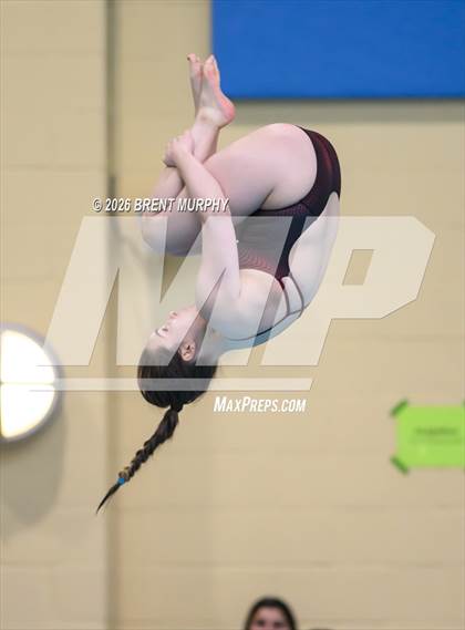 Thumbnail 1 in CHSAA 4A Finals (Diving) photogallery.