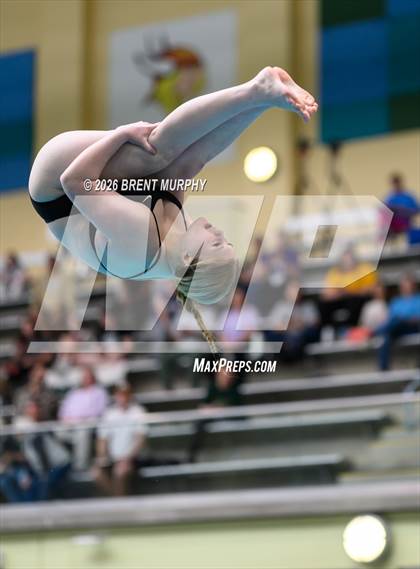 Thumbnail 1 in CHSAA 4A Finals (Diving) photogallery.