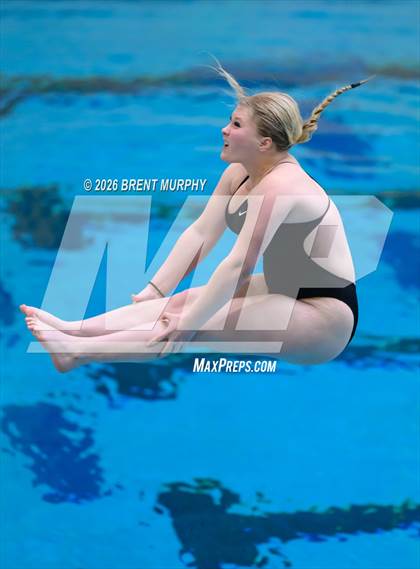Thumbnail 1 in CHSAA 4A Finals (Diving) photogallery.