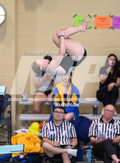 Thumbnail 2 in CHSAA 4A Finals (Diving) photogallery.