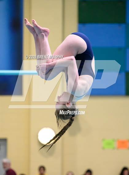 Thumbnail 3 in CHSAA 4A Finals (Diving) photogallery.