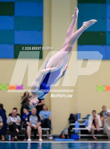 Thumbnail 3 in CHSAA 4A Finals (Diving) photogallery.