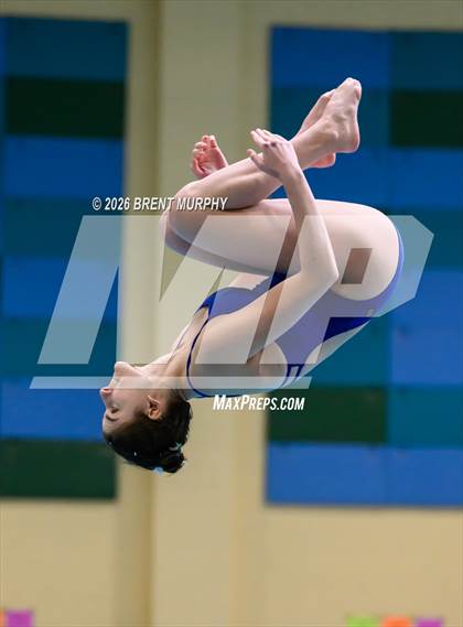 Thumbnail 1 in CHSAA 4A Finals (Diving) photogallery.