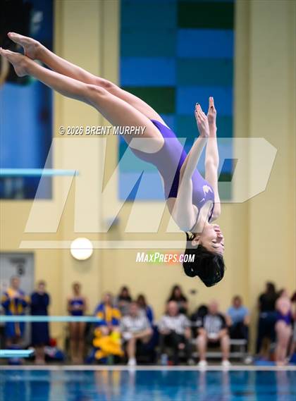 Thumbnail 1 in CHSAA 4A Finals (Diving) photogallery.