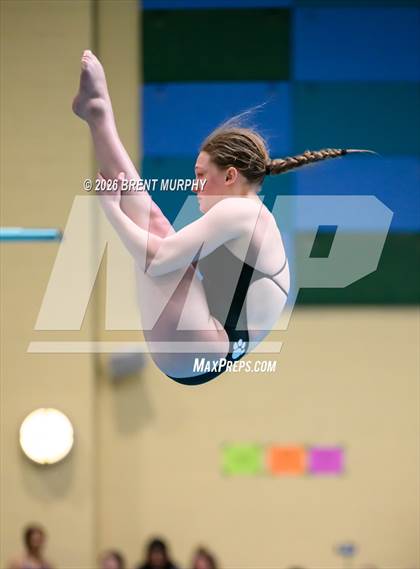Thumbnail 1 in CHSAA 4A Finals (Diving) photogallery.