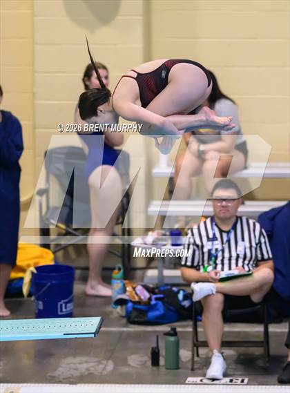 Thumbnail 2 in CHSAA 4A Finals (Diving) photogallery.