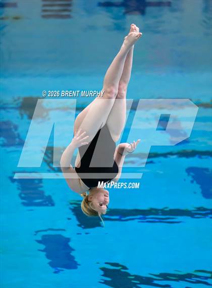 Thumbnail 2 in CHSAA 4A Finals (Diving) photogallery.