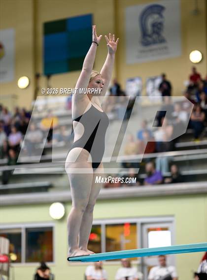 Thumbnail 3 in CHSAA 4A Finals (Diving) photogallery.