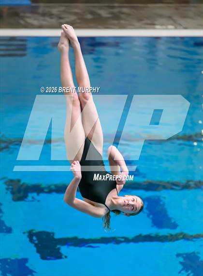 Thumbnail 3 in CHSAA 4A Finals (Diving) photogallery.