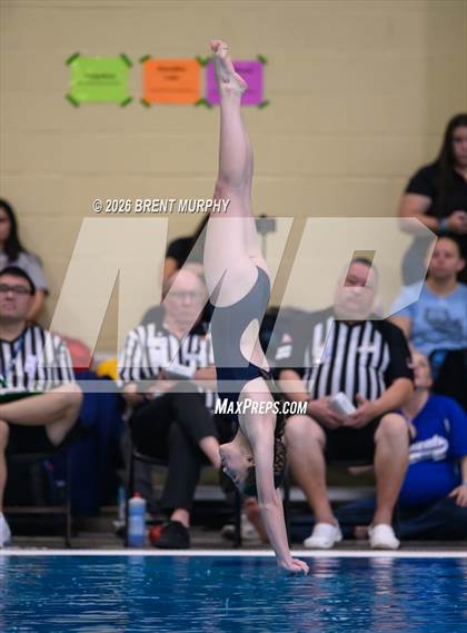 Thumbnail 1 in CHSAA 4A Finals (Diving) photogallery.