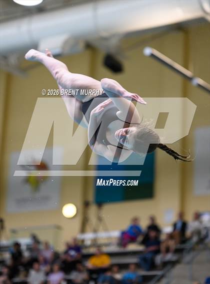 Thumbnail 2 in CHSAA 4A Finals (Diving) photogallery.