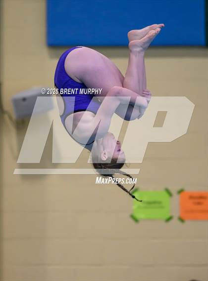 Thumbnail 2 in CHSAA 4A Finals (Diving) photogallery.