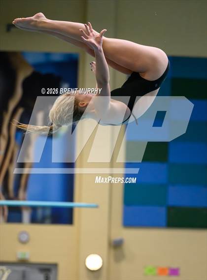 Thumbnail 3 in CHSAA 4A Finals (Diving) photogallery.