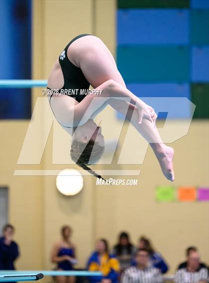 Thumbnail 3 in CHSAA 4A Finals (Diving) photogallery.