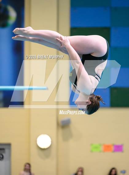 Thumbnail 3 in CHSAA 4A Finals (Diving) photogallery.