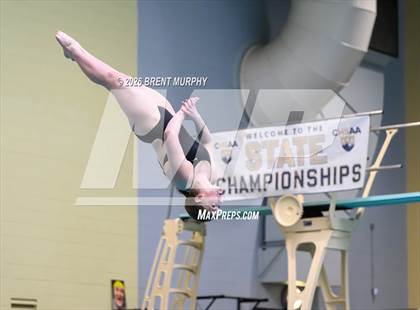 Thumbnail 1 in CHSAA 4A Finals (Diving) photogallery.
